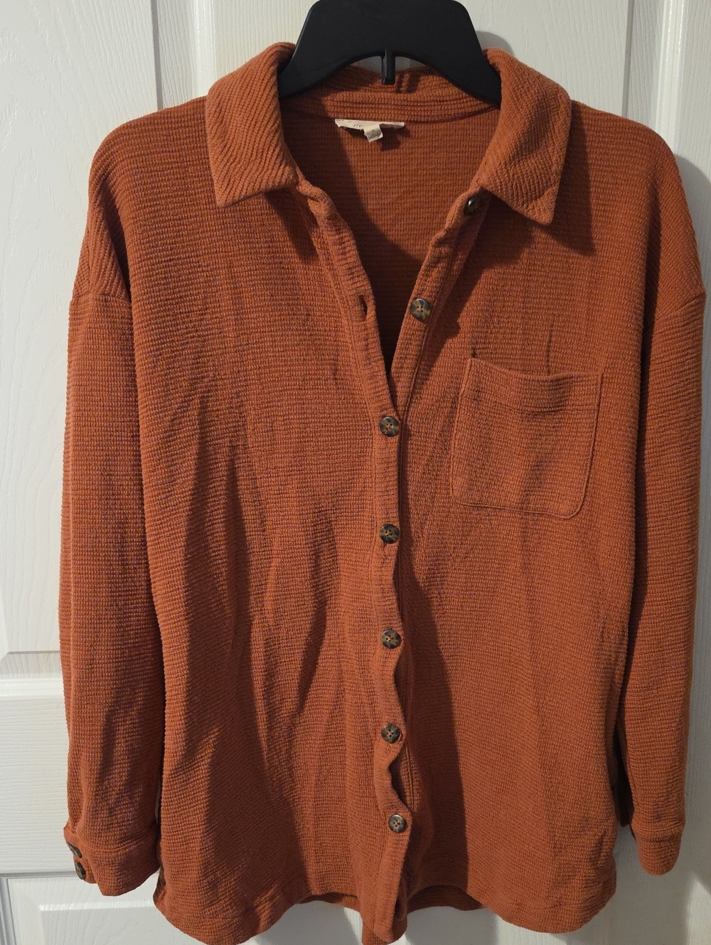 Madewell  Button-Front Shirt in Rust